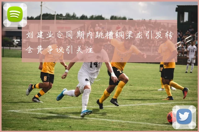 刘建业合同期内跳槽铜梁龙引发转会费争议引关注