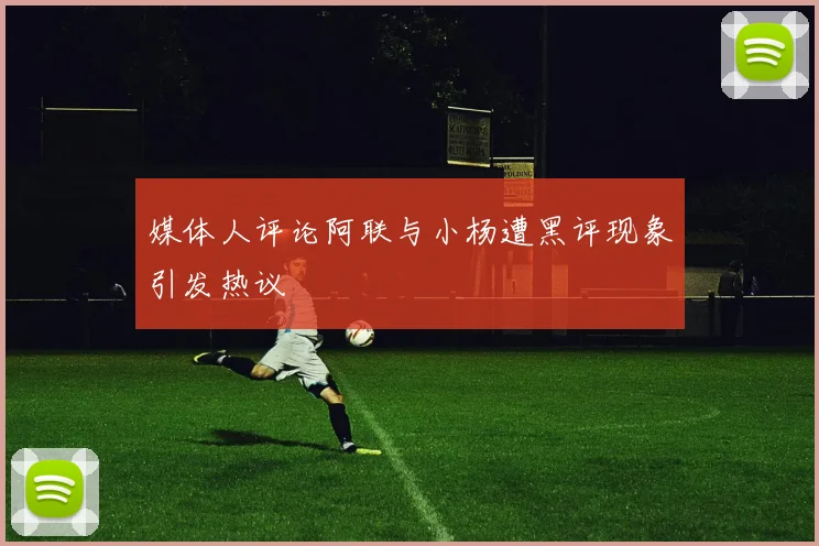 媒体人评论阿联与小杨遭黑评现象引发热议